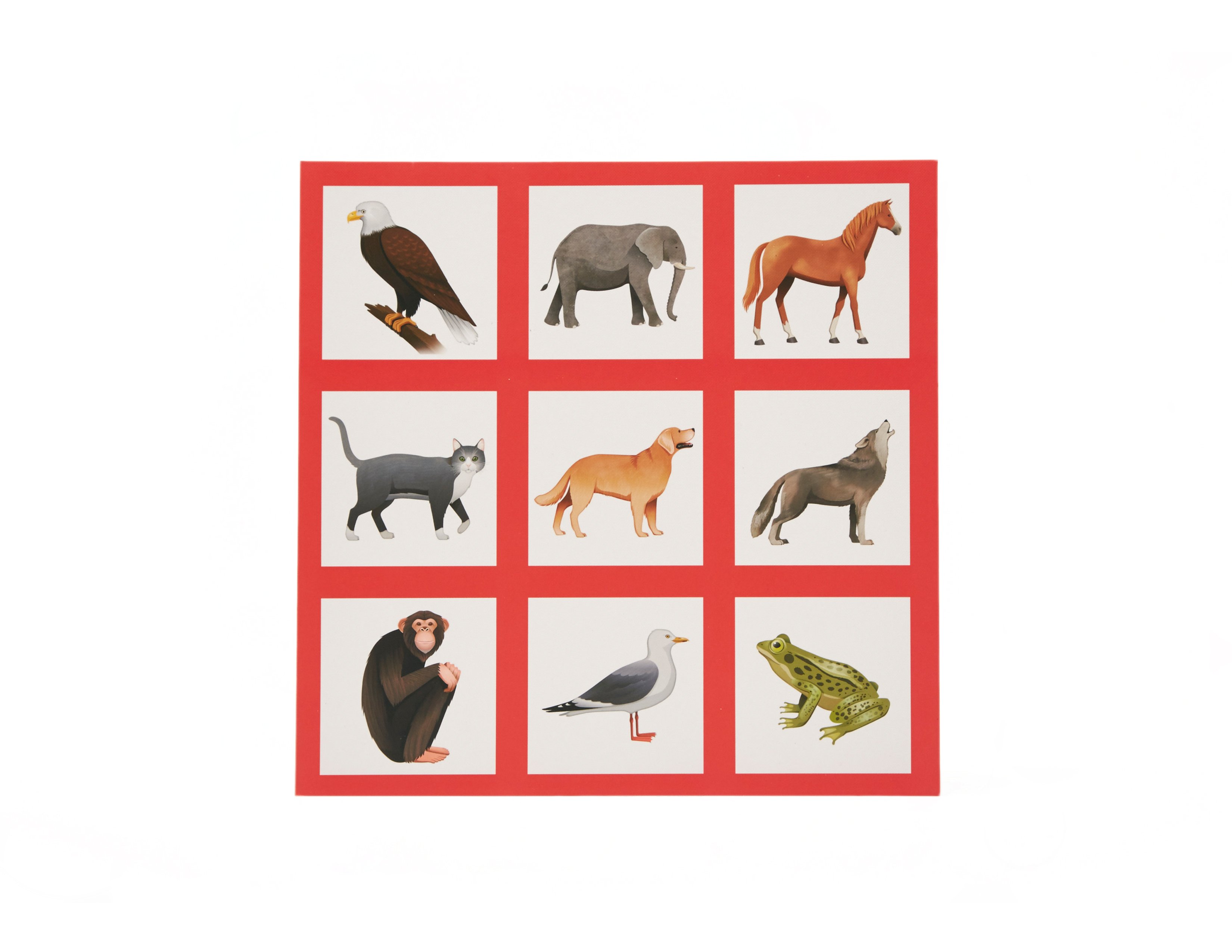 Animal Bingo Set