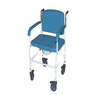 Bariatric Commode And Shower Chair