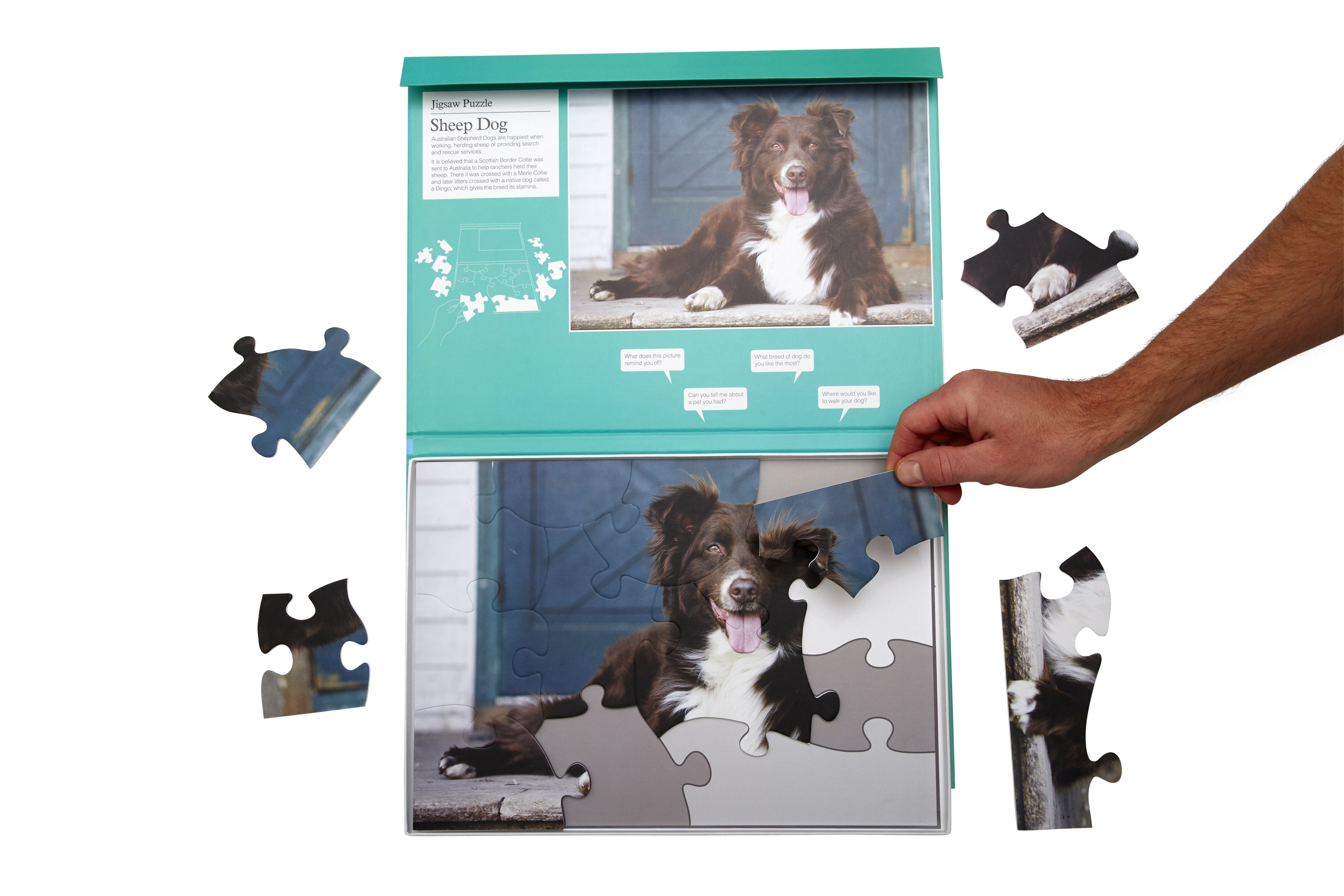 13 piece sheep dog jigsaw 